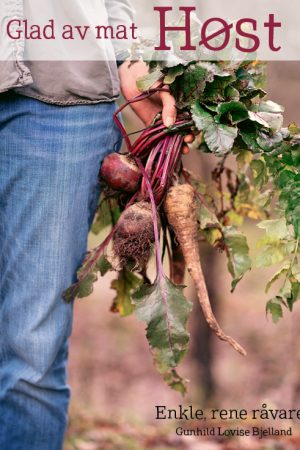 Glad av mat. HØST